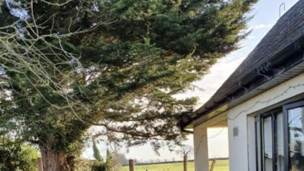 Una casa con porche cubierto, césped y un árbol grande.