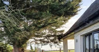 Beautiful 1-Bed Apartment in Kilkea