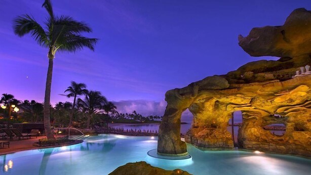 A pool area with a rock formation and palm trees.