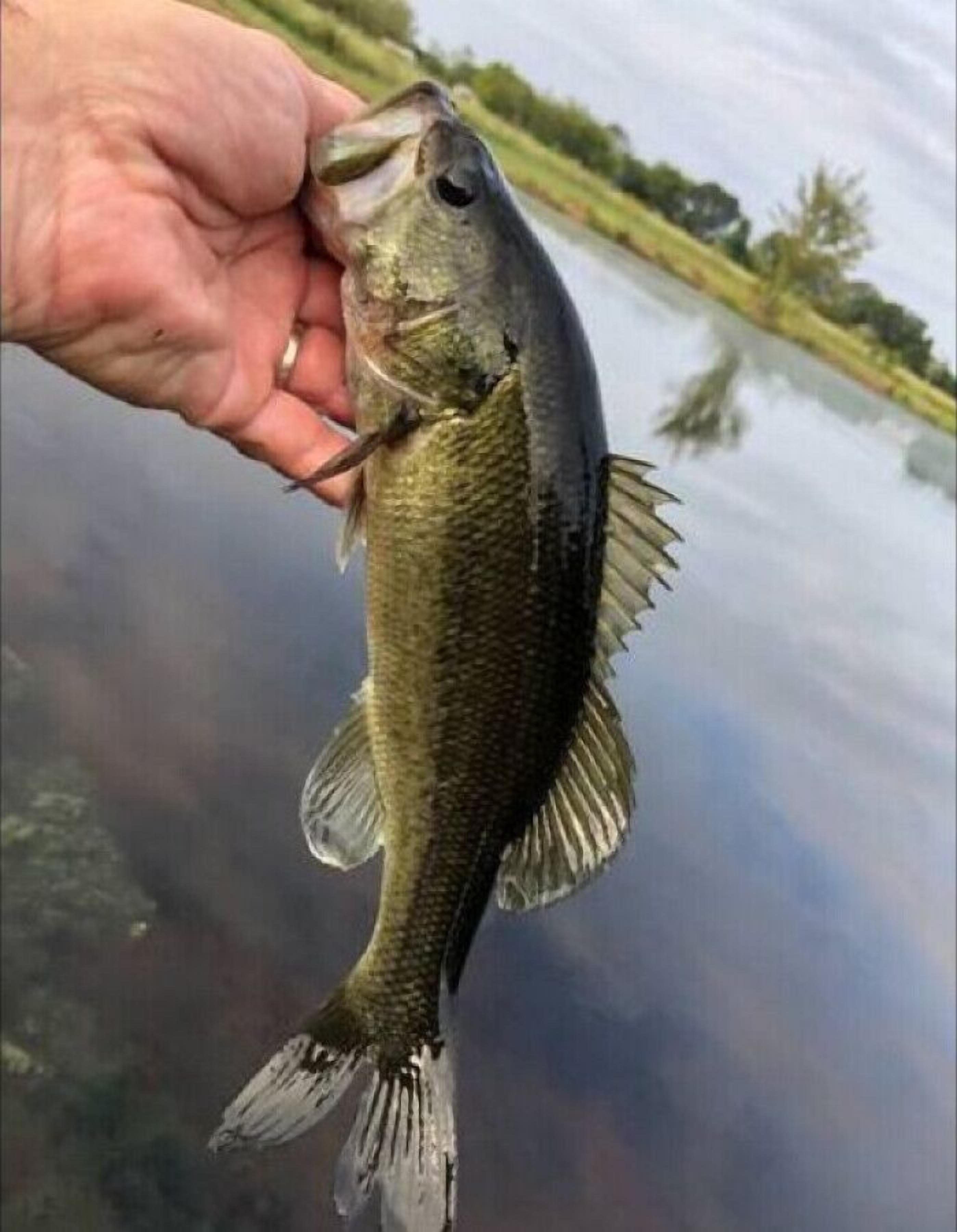 A person holding a fish.