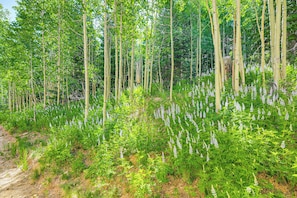 Overnatningsstedets område