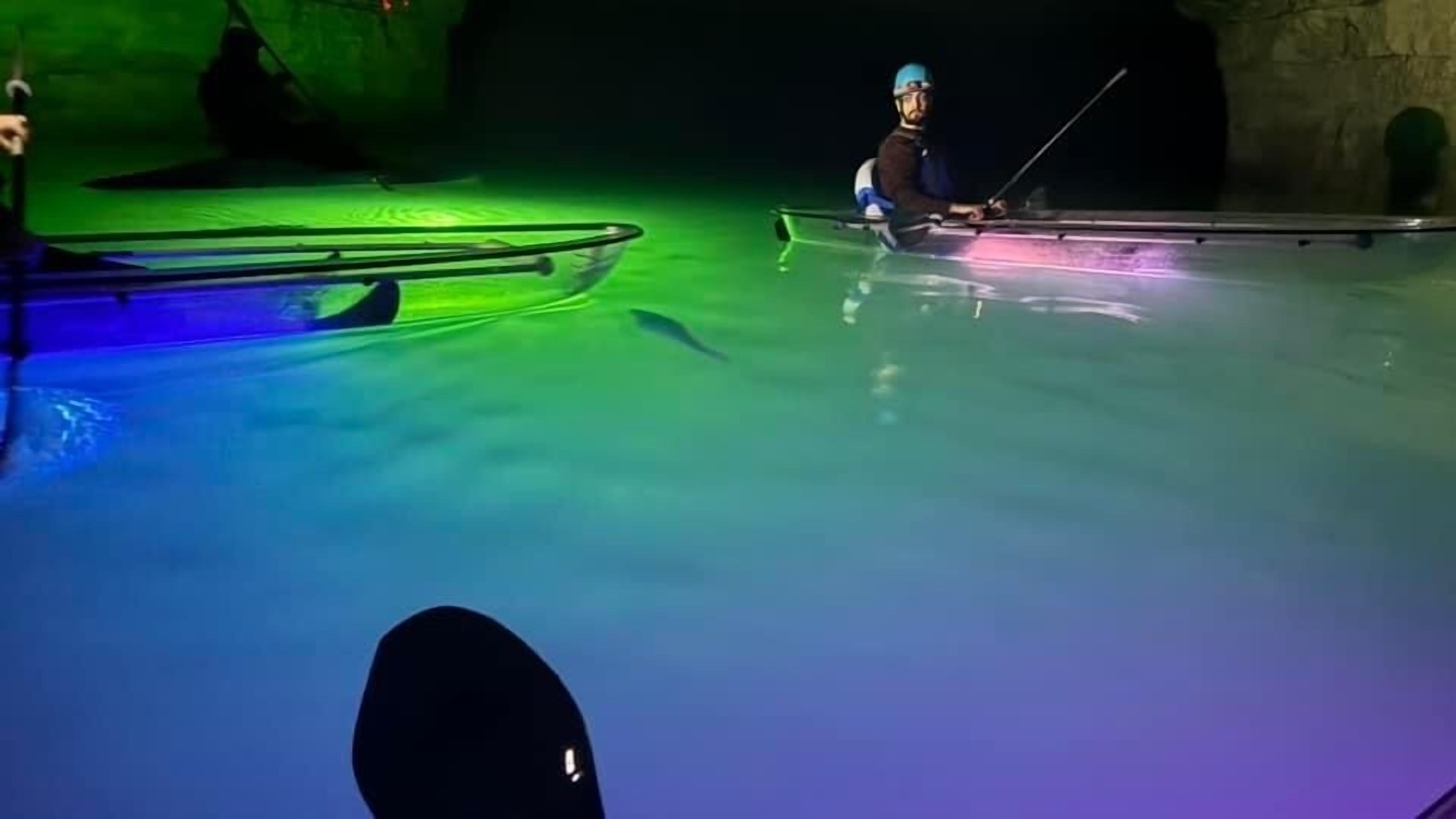 An aquarium with a person in a boat, a large fish, and a glass barrier.