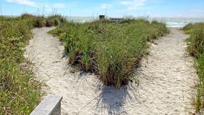 A sandy beach path with dense grass on either side, leading to a structure in the distance. - Private Beach | Bayside Corner Unit | Walk to Turtle Beach | 2 Heated Pools | Dog Friendly! (Sarasota)