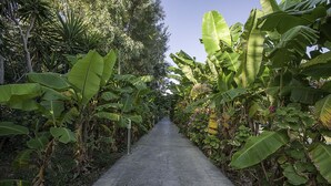 Uklassifisert bilde, 2 av 38, knapp