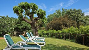 A row of sun loungers on a grassy lawn with a large tree and dense foliage in the background. - Antinoro Apartments (Montelupo Fiorentino)