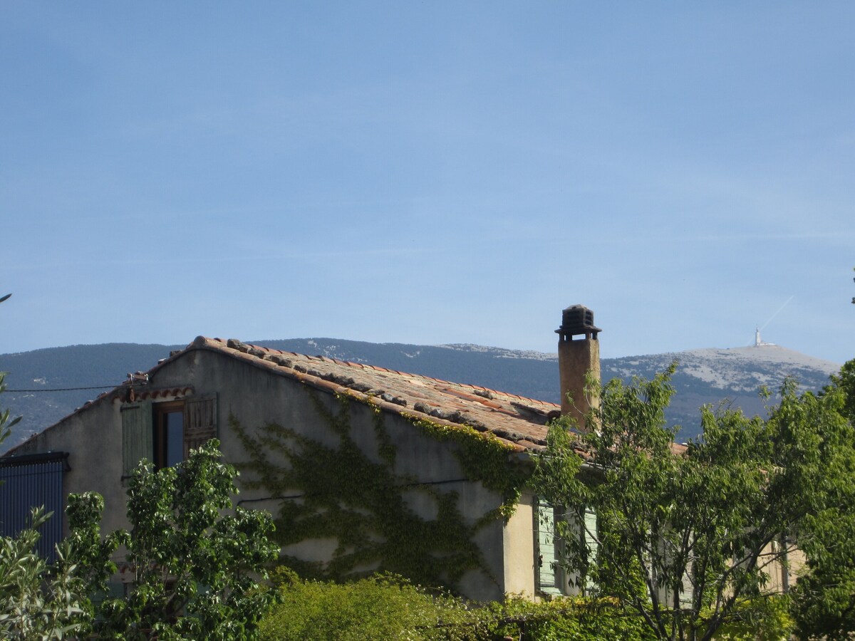 Imagen de perfil del propietario o de la propietaria