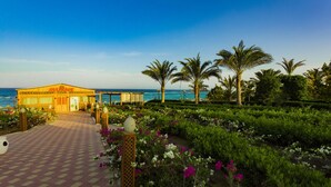 Un hotel frente a la playa con un camino bordeado de palmeras que lleva a la entrada.