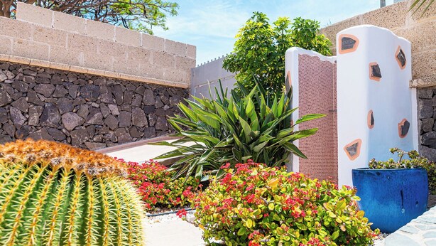 A garden with cacti, flowering plants, and a stone wall. - Villa with pool in Madroñal Fañabe, Costa Adeje (Costa Adeje)
