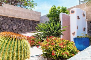 A garden with cacti, flowering plants, and a stone wall.