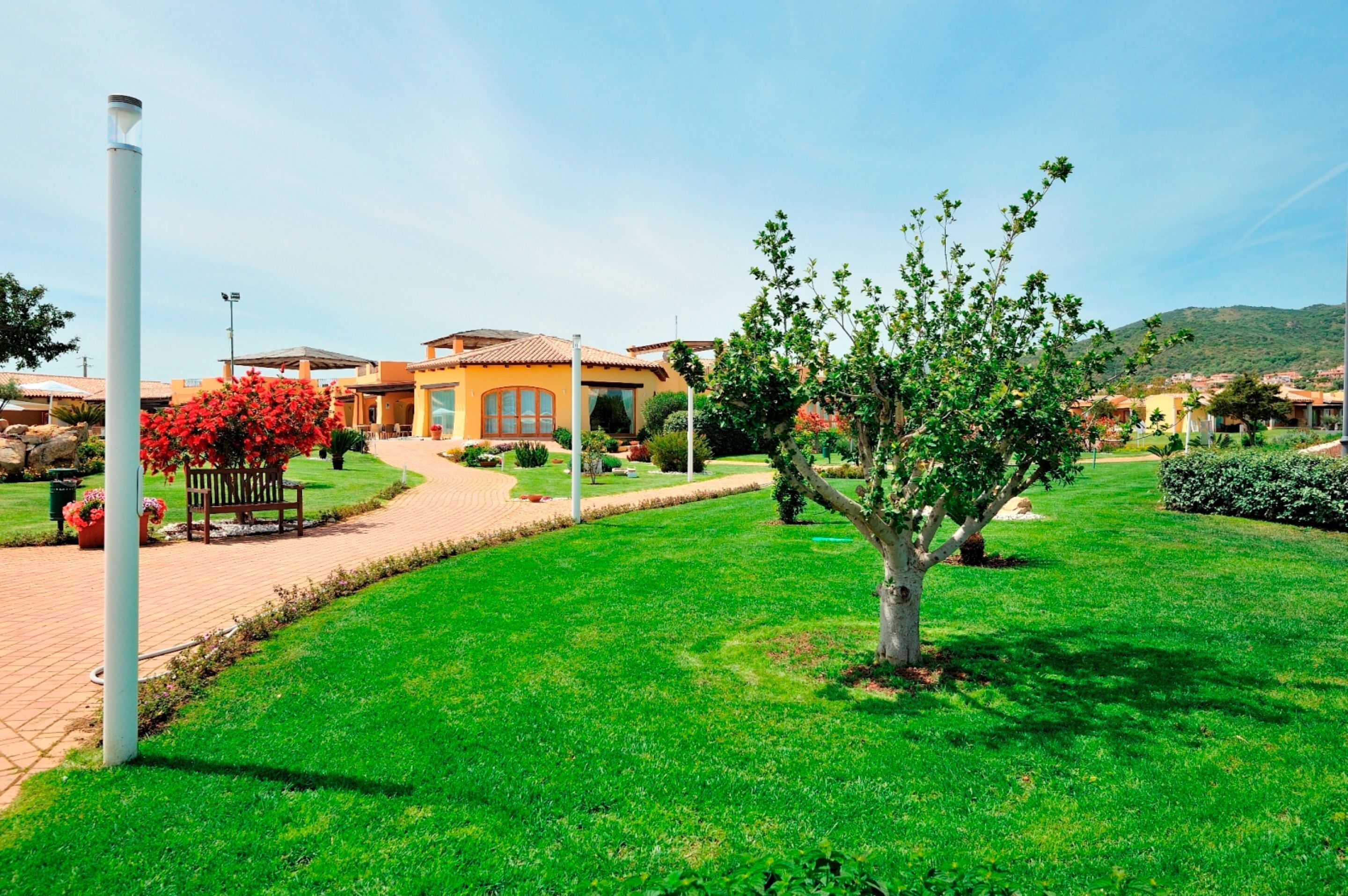 A residential area with a well-maintained lawn, a pathway leading to a house with a tiled roof, and a small tree in the foreground.