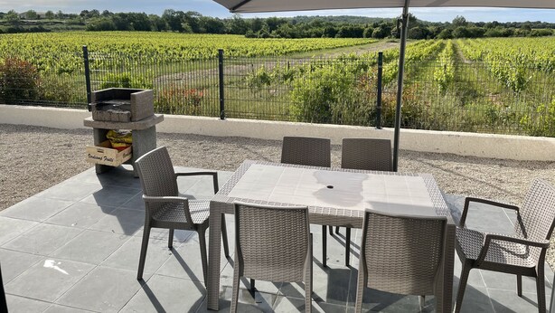 Un patio al aire libre con mesa y sillas, una parrilla y vistas a un viñedo.