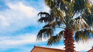 A single-story building with a tiled roof, a palm tree in front, and a small garden area. - Magnificent location with breathtaking views of Collioure and the sea (Collioure)