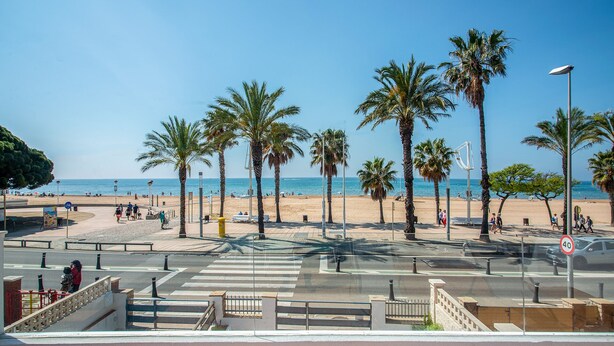 A beachside promenade with palm trees, a pedestrian crossing, and a clear view of the beach and sea. - See front apartment for 6 (Cambrils)