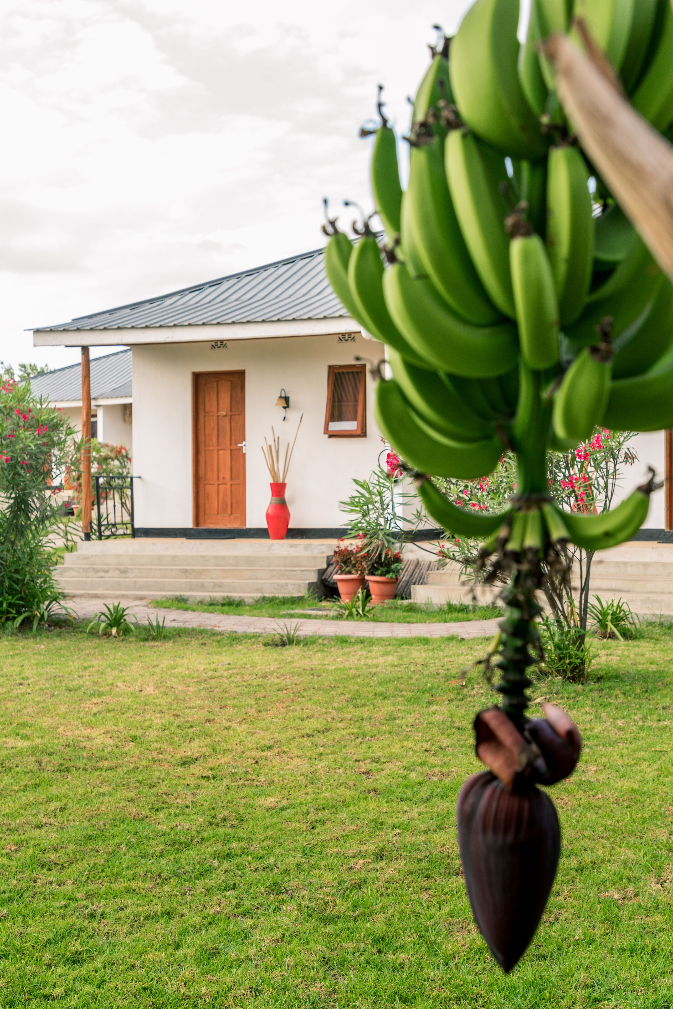 Twin Room, Multiple Beds | In-room safe, bed sheets, wheelchair access