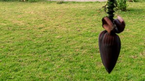 A house with a front porch, a red vase, and potted plants. - Moyoni Airport Lodge (Arusha)