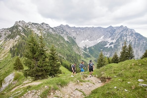 A mountainous hiking trail with rocky terrain and sparse vegetation. - Das Walchsee Resort (Walchsee)