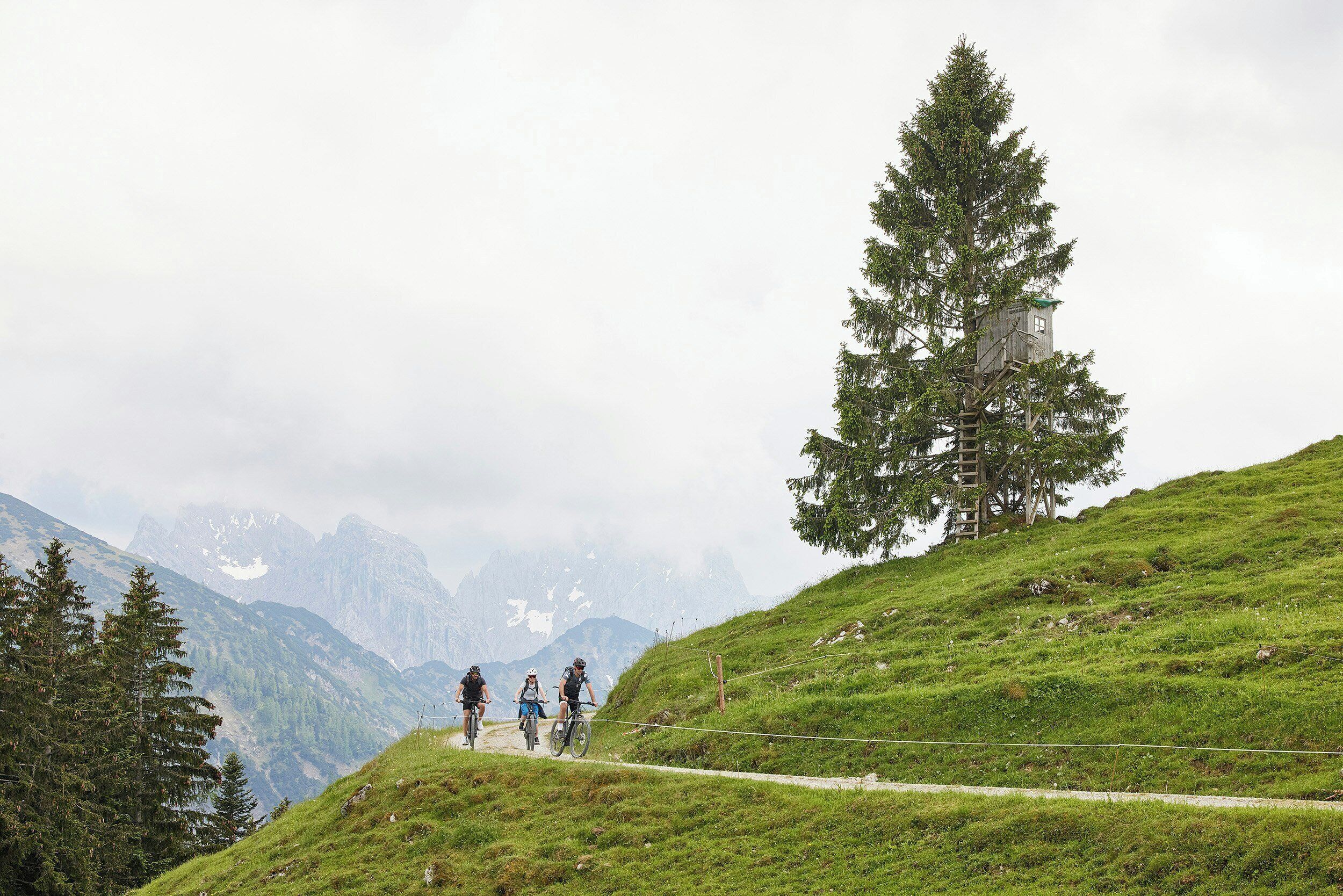 Un sentier de VTT avec des cyclistes, entouré d’une végétation luxuriante et dominé par des montagnes lointaines.