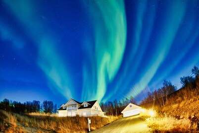 Green Gold of Norway