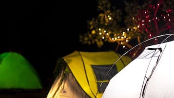 Standard Tent