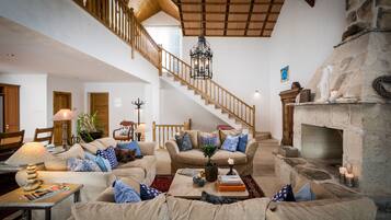 Smart TV, fireplace, books