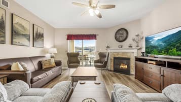 TV, fireplace, offices