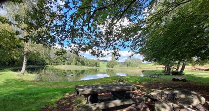 Nuit Insolite en Tiny House