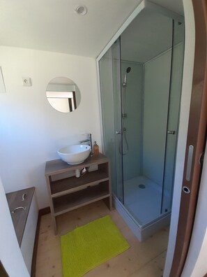 Shower, towels, toilet paper