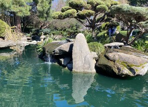 Pool - Knights on Castle ⚜️ (Adelaide)