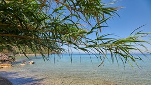 Ein Strand mit Klippen und ruhigem Wasser, umgeben von viel Grün.