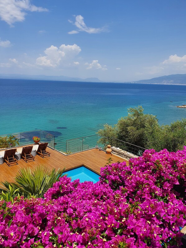 Vista desde la propiedad