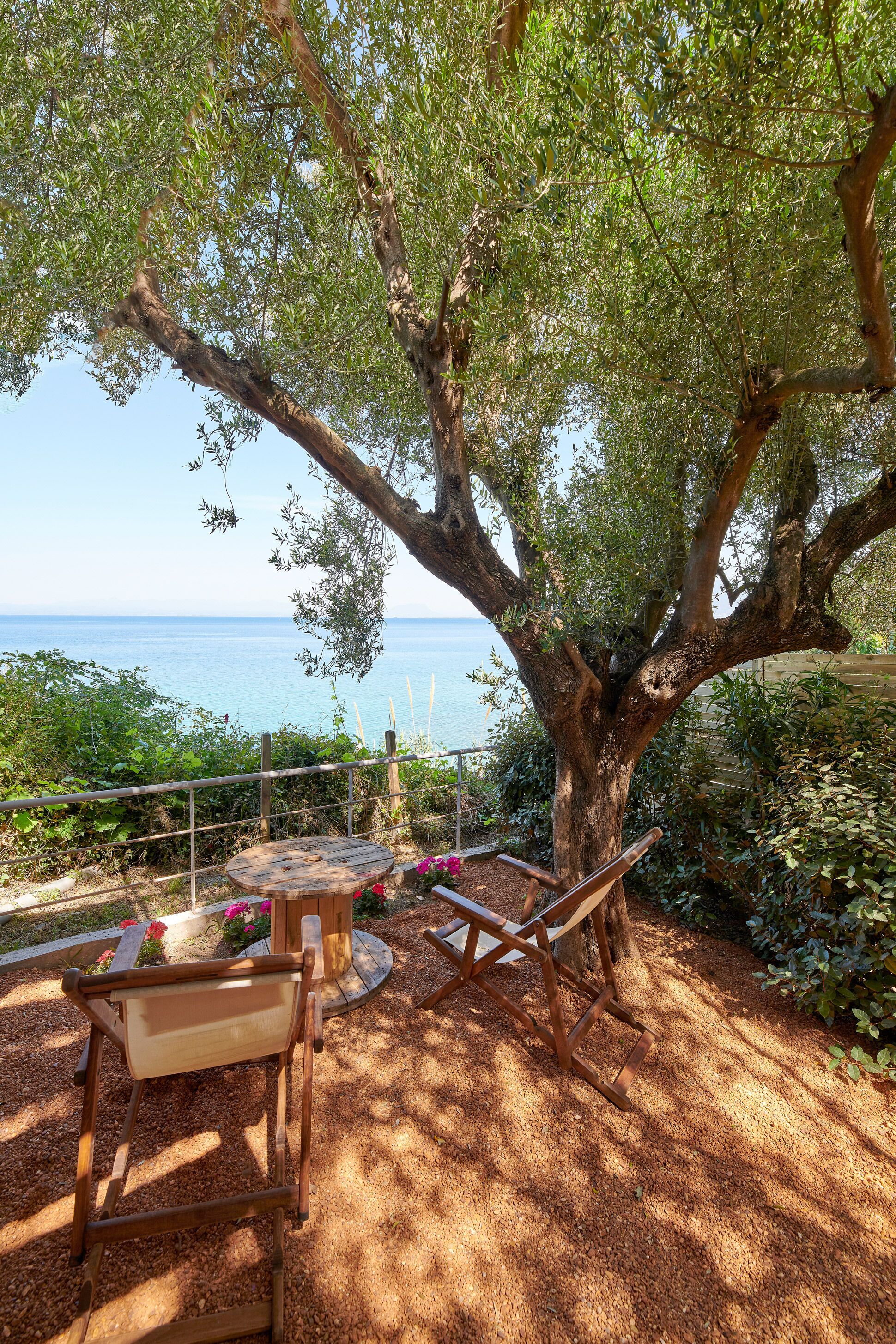 A wooden deck with a table and chairs, surrounded by a large tree and a view of the sea.