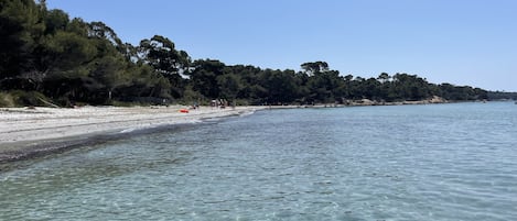 Une plage à l’eau claire, avec un rivage sablonneux et une végétation dense en arrière-plan.