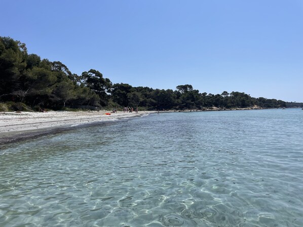 Una spiaggia con acqua cristallina, lido sabbioso e alberi fitti sullo sfondo.