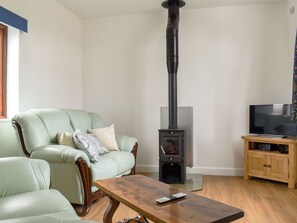 TV, fireplace - Roe Cottage - UK33490 (Hadleigh)