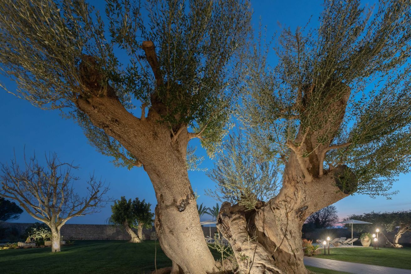 Overnatningsstedets område
