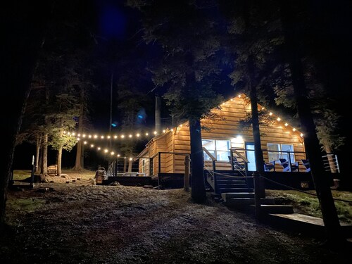 Carson Cabin: Modern + King Beds + Winter Retreat