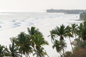 Ein Strand mit Palmen und Blick auf den Ozean.