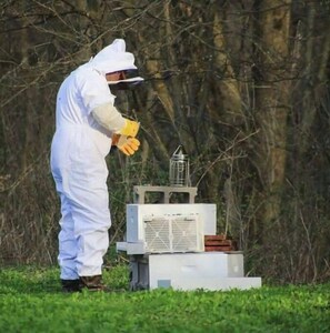 Property grounds - Adventure Time ideally located and surrounded by Frontenac State Park . (Red Wing)