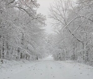 Miscellaneous - Adventure Time ideally located and surrounded by Frontenac State Park . (Red Wing)