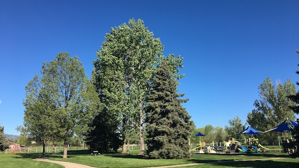 Un parc doté d’un sentier aménagé, d’aires de jeux et de grands arbres.