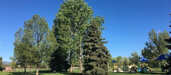 Walking Distance to Old Town Fort Collins, Colorado