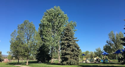 Walking Distance to Old Town Fort Collins, Colorado