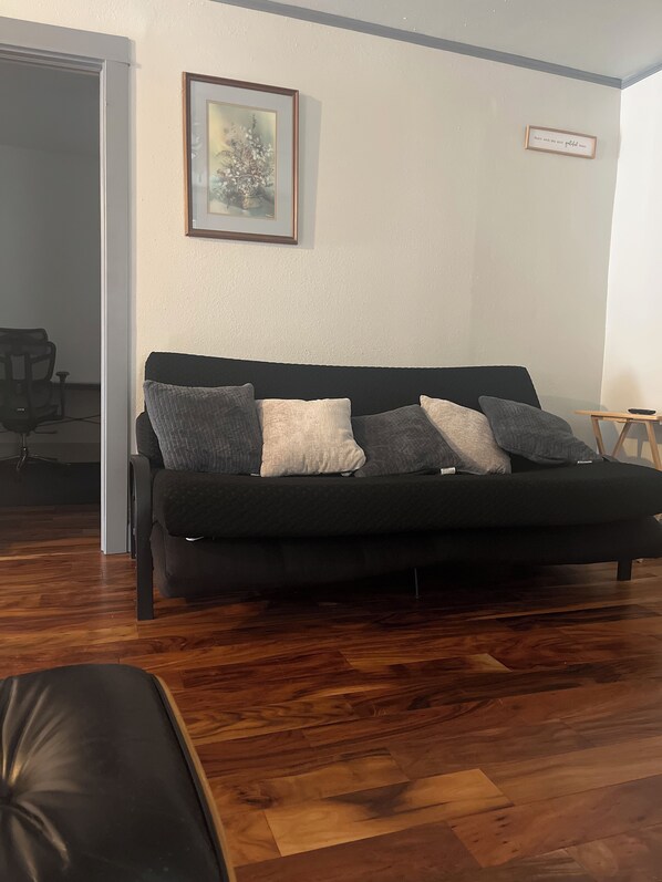 Smart TV, DVD player, books, video library