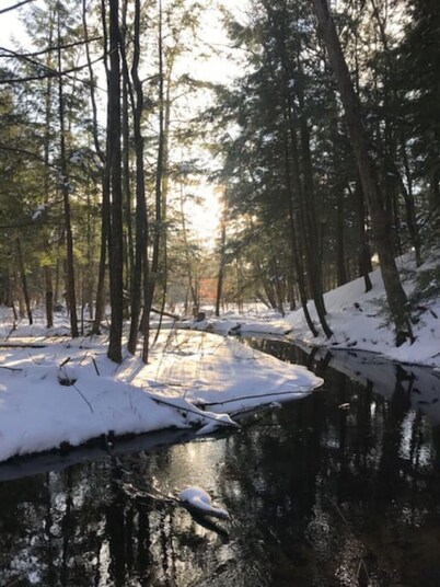 The Mother Lodge - Cozy Cabin on the Creek