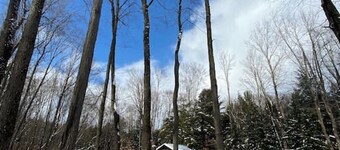 The Mother Lodge - Cozy Cabin on the Creek