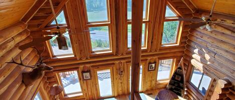 TV connectée, cheminée, lecteur de DVD, livres