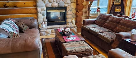 Smart TV, fireplace, DVD player, books