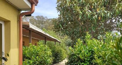 Vacation Homes