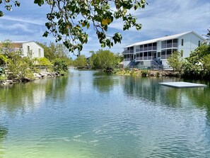 Property grounds - TOWNHOUSE FL KEYS ON ATLANTIC, MARINA, PICKLEBALL, TENNIS, POOLS, BIKES, KAYAKS (Key Largo)