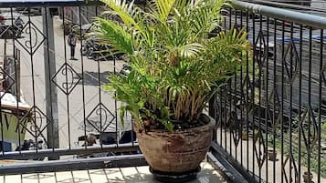 Uma planta em vaso no corrimão da varanda.